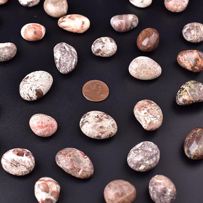 Leopardskin Jasper Healing Crystal Stone Set - 24 Pieces, 0.6" Natural & Polished Stones for Healing, Meditation, Reiki, Chakra, Crafting & Decoration