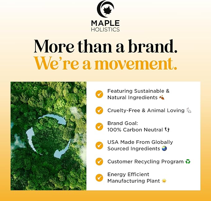 Focus Essential Oil Roll On - Aromatherapy Essential Oil Roller with Invigorating Pure Citrus and Mint Oils - Attention and Focus Essential Oil Blend with Eucalyptus Peppermint & Grapefruit (1 Pack)