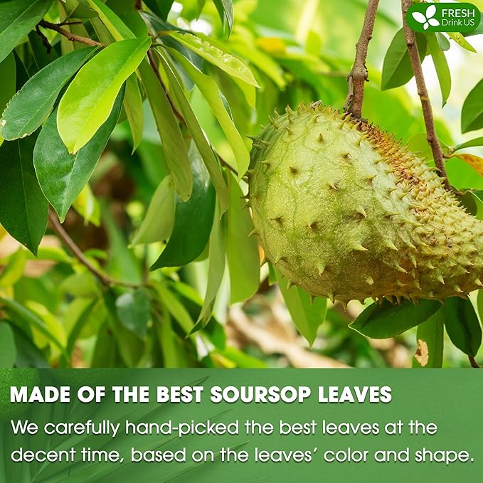 FreshDrinkUS, 330-350 Premium Soursop Dried Leaves Tea, 115 Cups, Hojas De Guanabana Whole Leaves, Wildcrafted, Graviola, Soursop, Guanabana Tea, Loose Leaf Herbal Tea, Gluten/Sugar/Caffeine Free