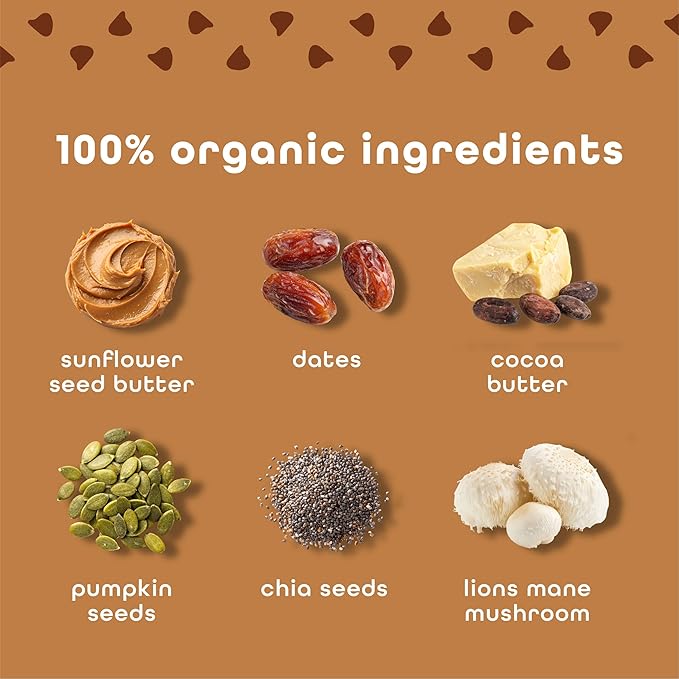 Feel Vegan Protein Bars | Brownie Chocolate Chip | Keto | Gluten Free | Organic | Lion’s Mane | 15g Plant Protein | Low Carb | High Protein | Dairy Free | Low Sugar | Nut, Grain, Soy Free | 10 Pack