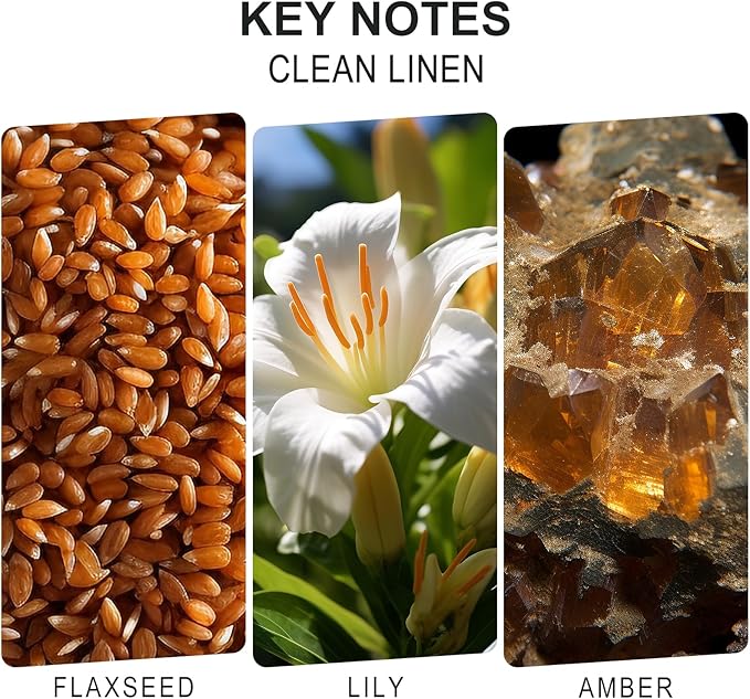 L'odeur Vill Reed Diffuser Set, 6.7 oz(200ml) Clean Linen Scented Diffuser with 6 Oil Diffuser Sticks, Home Fragrance Essential Oil Reed Diffuser for Home Large Rooms Bathroom Shelf Decor