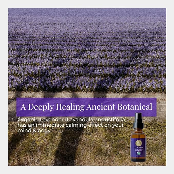 Silk Road Organic Lavender Essential Oil Spray, Lavandula Angustifolia, 100% Pure USDA Certified Aromatherapy for Calming, Relaxation & Skin – 1 oz Spray - Always Pure, Always Organic