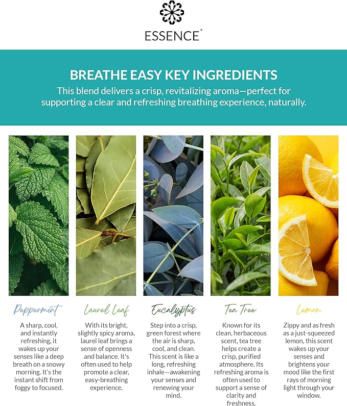 Essence Wearable Aromatherapy Nasal Diffuser – Breathe Easy Essential Oil Nose Ring – Personal Scent Clip for Travel, Work & Everyday Use – Made in USA (3 Pack)