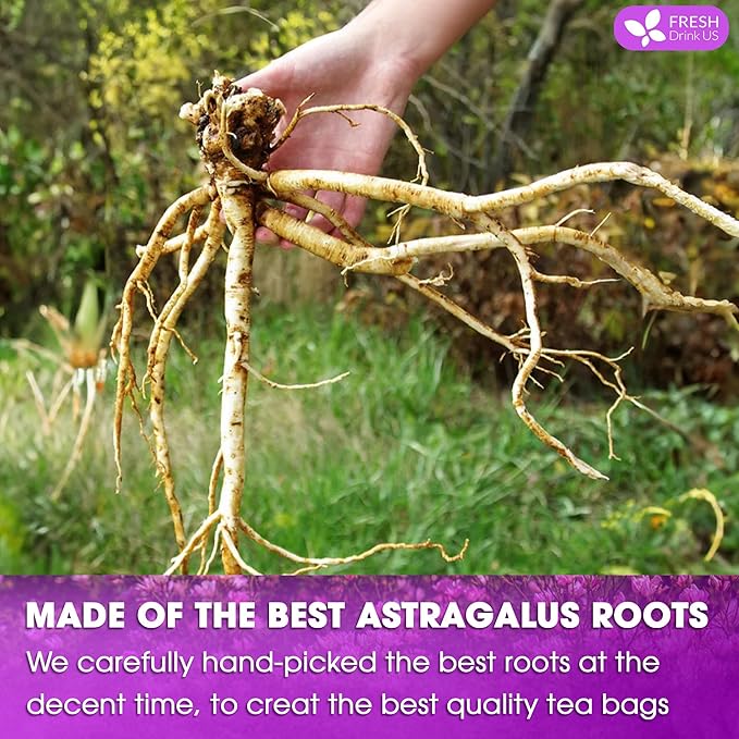 FreshDrinkUS, Premium 75 Astragalus Root Tea Bags, 100% Natural & Pure from Astragalus Root. Astragalus Root Herbal Tea. Made with Natural Material Tea Bags. No Sugar, No Caffeine, No Gluten, Vegan.