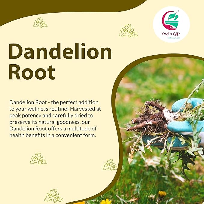 Dandelion Root 1 LB | Raw and Whole root | by Yogi's Gift®