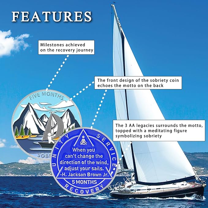 5 Monthly Sobriety Coin Sobriety Chips AA Chip AA Coins Sober Token Recovery Medallion NA Chips NA Coins from 1 to 12 Months Plastic case Included-Baking Paint Process