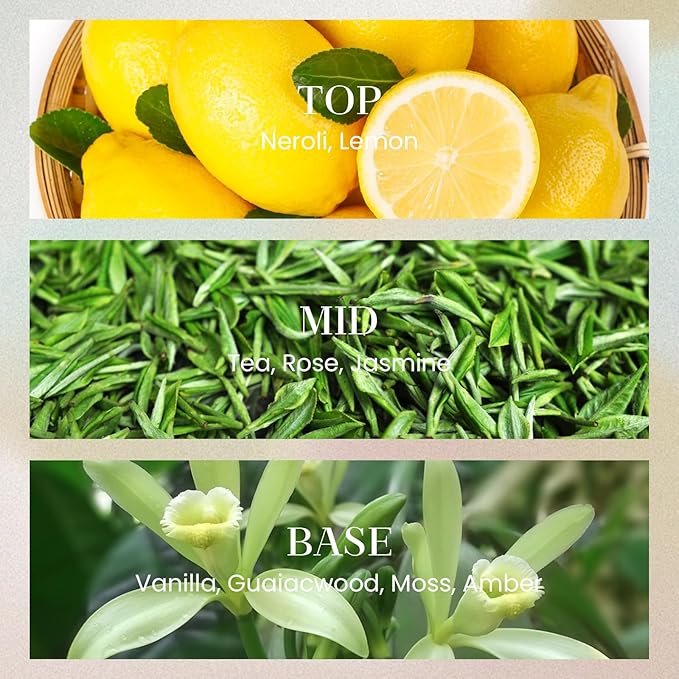 M&SENSE 10.14 oz Large Reed Diffuser Set | Neroli Noir Scent Oil Diffuser with Sticks |Hotel Collection Non-Toxic Essential Oil |for Bedroom Bathroom Living Room