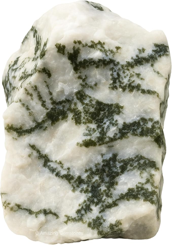 Amazing Gemstone 2 Pieces Tree Agate Raw Crystals and Healing Stones, Natural Rocks for Tumbling and DIY Raw Stones and Crystals