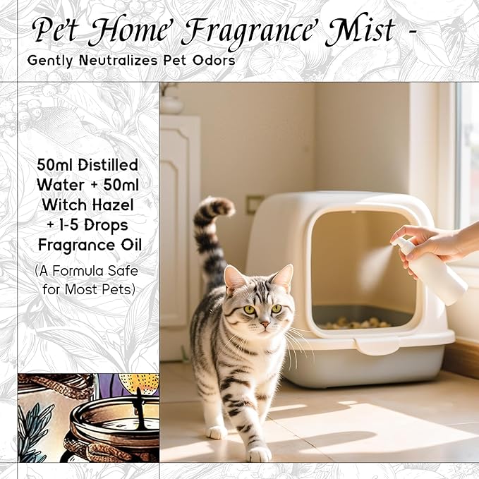 HIQILI Wild Bluebell Fragrance Oil for Candles, Soaps Making, Inspired by J-M.Lone Wild-Blubell, and More DIY Projects, Diffuser, Green Scents for Closets, Drawers - 5.07 Fl Oz