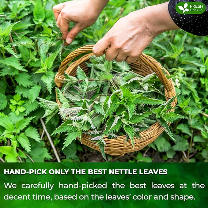 FreshDrinkUS, Premium 75 Nettle Leaf Tea Bags, 100% Natural & Pure from Nettle Leaves. Loose Leaf Nettle Herbal Tea. Nettle Leaf Tea. No Sugar, No Caffeine, No Gluten, Vegan.