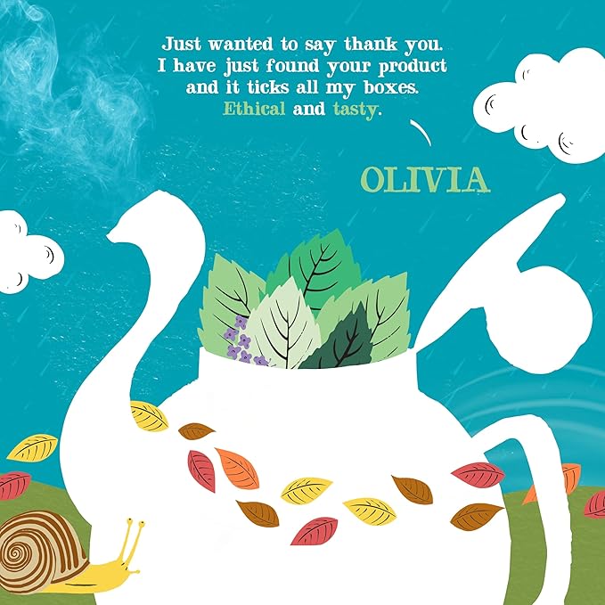 Clipper Tea Mint Herbal Teabags – Caffeine Free, USDA Organic, Great Hot or Iced – Refreshing, Natural, Fair & Delicious – 50 Tea Bags