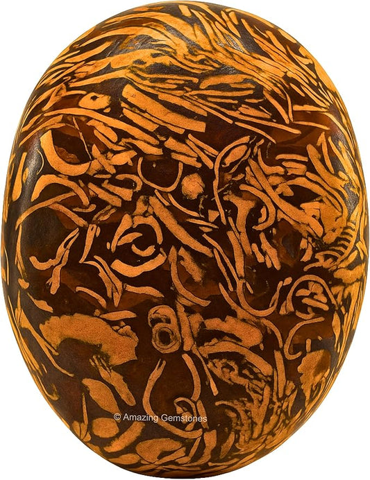 Amazing Gemstone Mariyam Jasper Crystals and Healing Stones - Large Palm Stone Crystals Piedra - Crystal for Good Luck, Balanced Positive Energy, Meditation - Unique Stocking Stuffers, Gifts for Women