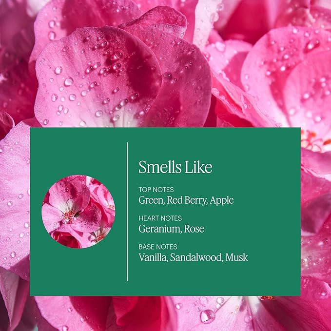 Aera Home Hygiene Geranium - Essential Oil for Home - Soft Pink Petal Fragrance - Notes of Geranium, Palmarosa and Clove Essential Oils - Scent Refill - Capsule Size Works with Mini Diffuser