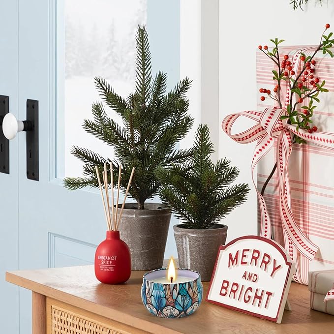 Christmas Candle Gifts Set,12 Pack Scented Candles for Women,300 Hour Long Lasting Natural Soy Wax Aromatherapy Candle, Christmas Gifts for Women