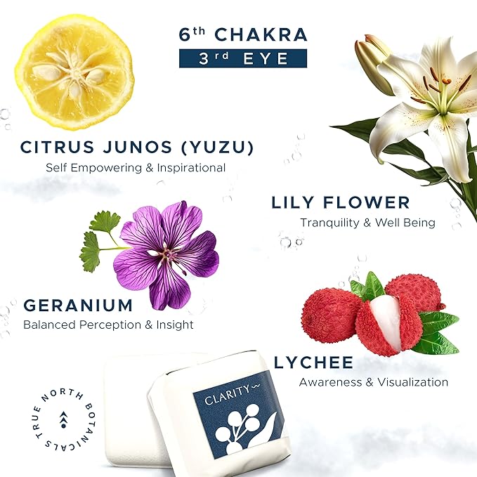 Large Shower Steamers (12 Pack-1.75oz Each) Chakra Aromatherapy Optimism & Self-Esteem-Ideal Men/Women/Teens Christmas & Birthdays (6th Chakra - Lychee, Yuzu, Geranium, & Lily)