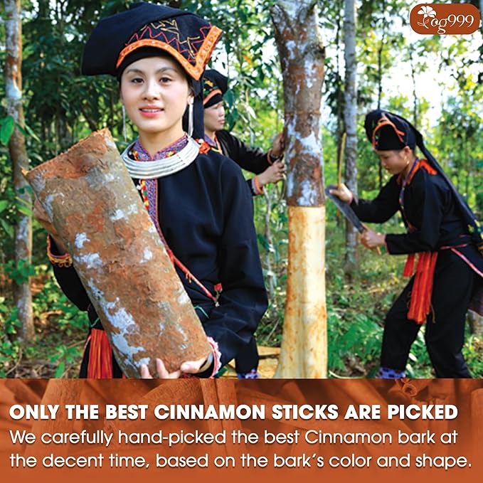 TOG999, Premium 200 Tea Bags - Special Cinnamon Tea, 100% Natural & Pure, Herbal Tea. Cinnamon Stick Herbal Spice