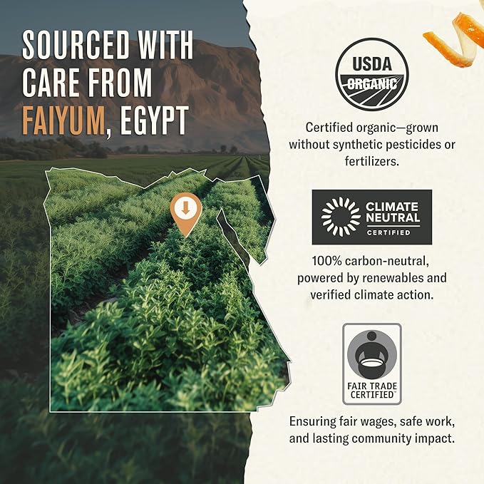 Numi Organic Tea Moroccan Mint, Bags, Herbal Teasan, 54 Count, Pack of 3