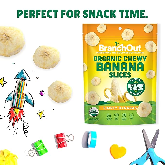 BranchOut Chewy Banana Slices, No Sugar Added, GentleDry Locks in Nutrition, Better than Freeze Dried Banana Chips, Healthy Vegan Halloween Fruit Snacks for Kids & Adults, 2 oz Snack Size (Pack of 4)