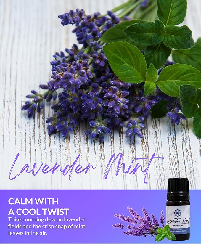 Essence Lavander Mint Essential Oil – 100% Pure & Therapeutic Grade – Perfect for Aromatherapy, Diffusers & Recharging Essence Nasal Diffuser Rings – Natural Stress & Mood Support (5mL)