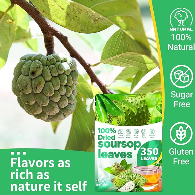350+ Soursop Graviola Dried Leaves for Tea - 100% Natural Whole Dried Soursop Leaves, 5oz (141 g), No Additives or Preservatives, Herbal Tea, Caffeine Free, Sugar/Soy/Gluten Free