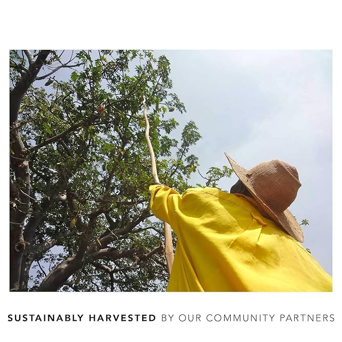 KAIBAE Organic Baobab Wellness Tea | Boosts Immunity and Benefits Digestive Health | Loose Leaf (4 oz.)