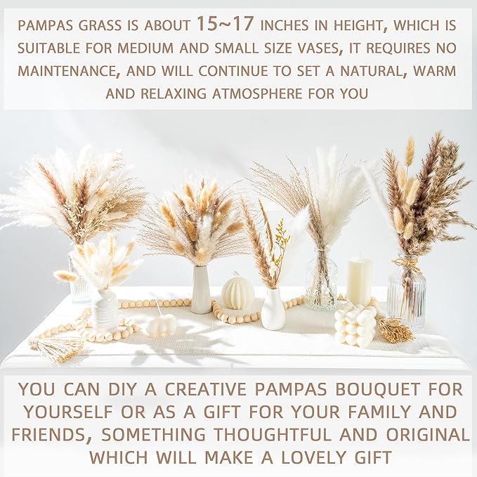 300PCS Natural Dried Pampas Grass Boho Home Decor Bouquet Phragmites Dried Flowers Bouquet for Wedding Floral Arrangements Home Decorations (300PCS)