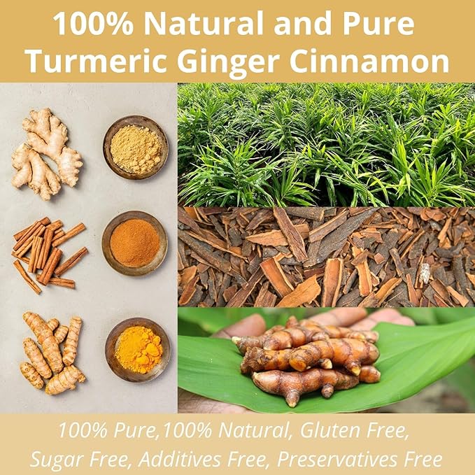 50 Premium Turmeric Ginger Cinnamon Tea Bags| Vitalforest Natural Ginger Tea Bags| Pure Turmeric Tea| Herbal Cinnamon Tea| Supports Digestion, Caffeine Free