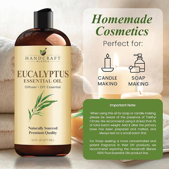 Handcraft Blends Eucalyptus Essential Oil - Huge 16 Fl Oz - for Candle Making, Soap Making, Diffusers, and Aromatherapy