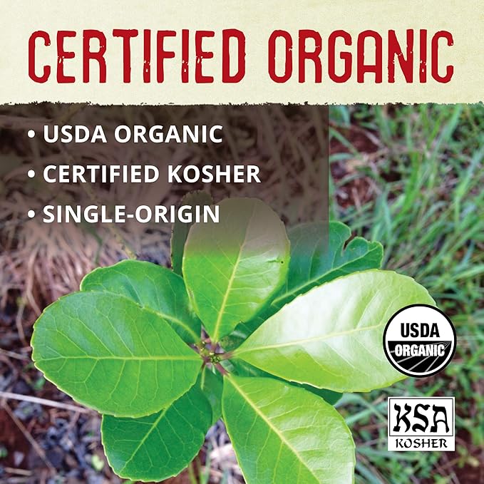 ECOTEAS PremiumOrganic Yerba Mate Tea Bags – Natural Energy & Detox Herbal Tea – Coffee Alternative - Kosher, Non-GMO, Gluten-Free - 100 Unsmoked Bulk Bags, 8.8 oz (Pack of 3)