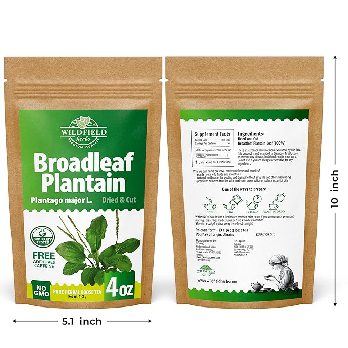 4 oz. Broadleaf Plantain Leaf Herb Tea Dried Plaintains Leaves (Plantago Majoris Folia) - 113g Greater Plantain Leaf Tea Llanten