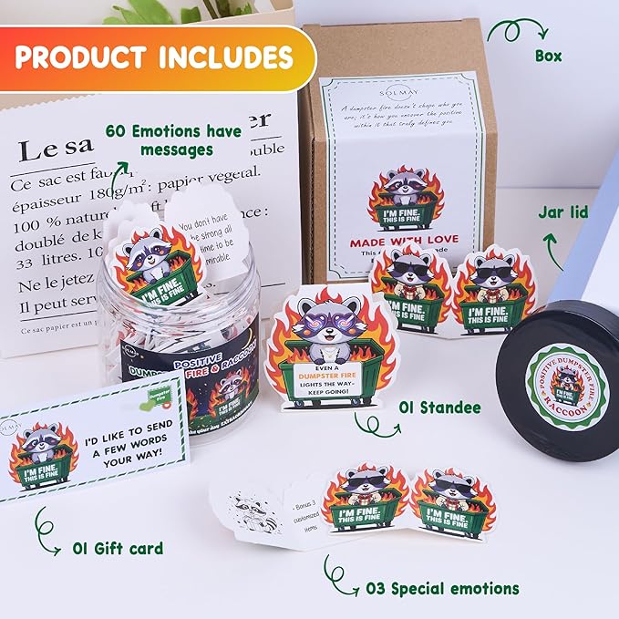 Funny Raccoon Dumpster Fire Affirmation Jar – 60 Sarcastic Positive Notes for Emotional Support, Mini Dumpster Fire Gift for Coworkers, Funny Office Desk Decor & Stocking Stuffers – SOLMAY