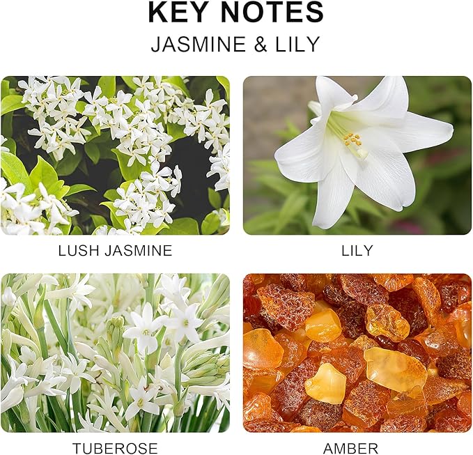 L'odeur Vill Reed Diffuser Set, 6.7 oz(200ml) Jasmine & Lily Scented Diffuser with 6 Oil Diffuser Sticks, Home Fragrance Essential Oil Reed Diffuser for Home Large Rooms Bathroom Shelf Decor