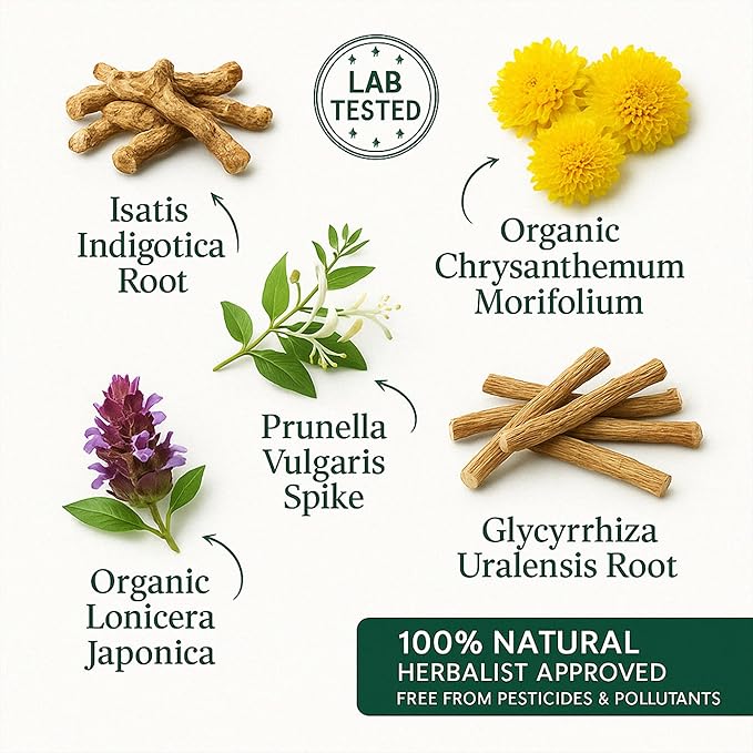 Herb Guru Cool Down Herbal Tea Bags – Herbal Heat Relief, Supports Inflammatory Response & Mood Balance with Isatis, Chrysanthemum, Honeysuckle & Licorice Root – Caffeine Free Tea, 0.88 Ounces