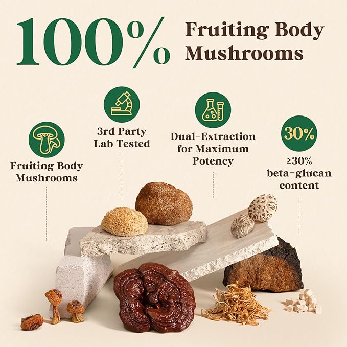 Fidus 16 Mushroom Supplement Powder with 17,300mg, 90 Day Servings Mushroom Coffee Alternative for Immunity, Focus & Energy with Ashwagandha, Lion's Mane, Chaga and Reishi, 100% Fruiting Bodies