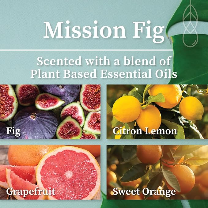 Hemlock Park Crackling Wood Wick Candle Handcrafted with Natural Coconut Wax (Small 4 oz, Mission Fig)