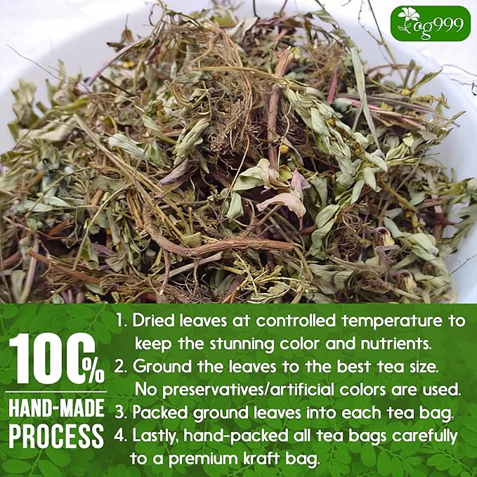 TOG999, Premium 120 Chanca Piedra Leaf Tea Bags, 100% Natural & Pure from Chanca Piedra Leaves. Loose Leaf Chanca Piedra Herbal Tea. Made with Natural Material Tea Bags. No Sugar, No Caffeine, No Gluten, Vegan.