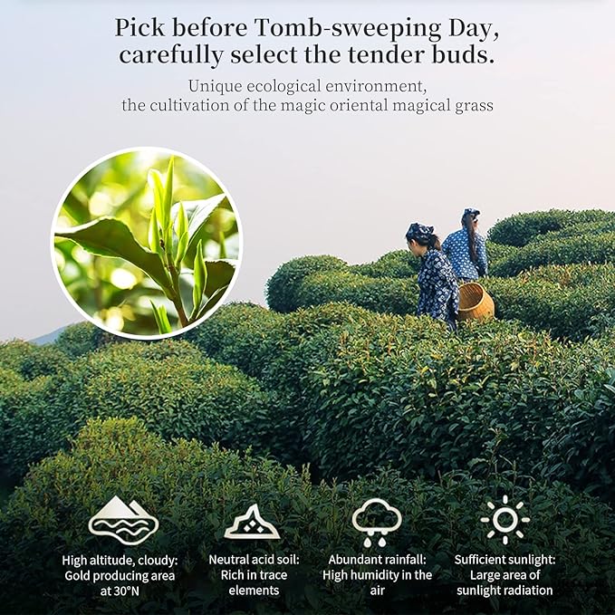 Hee Creek Longjing Tea 龙井 120g/4.2oz Long Jing Chinese Dragonwell Green Tea Loose Leaf Spring Tea Lung Ching Dragon Well Mingqian Longjing First Grade 龍井茶 中国绿茶 龙井