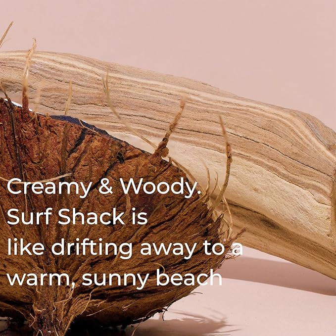 Bright Spot Summer Variety Pack Car Air Freshener - Premium Car Hanging Diffuser, Long-Lasting Fragrance up to 120 days for Auto and Home | Woody, Citrus & Tropical | 3 Pack