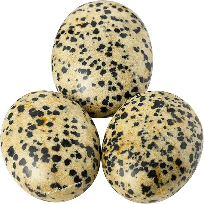 Amazing Gemstone Dalmatian Jasper Crystals and Healing Stones - Large Palm Stone Crystals Piedra - Crystal for Good Luck, Positive Energy, Meditation - Unique Stocking Stuffers Gifts for Women, Men