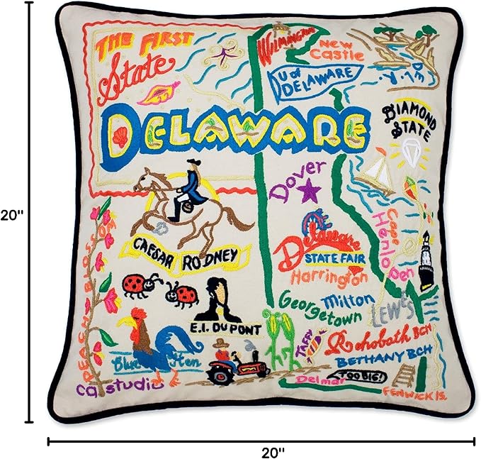 Catstudio Delaware Embroidered Decorative Throw Pillow