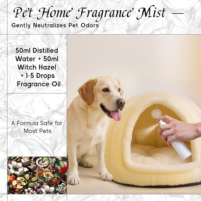 HIQILI Parisian Nocturne Fragrance Oil for Diffuser, Inspired by YL's M.on Paris, Candle & Soap & Perfume Balm Making, Sweet Notes, Long-Lasting Aroma - 1 Fl Oz