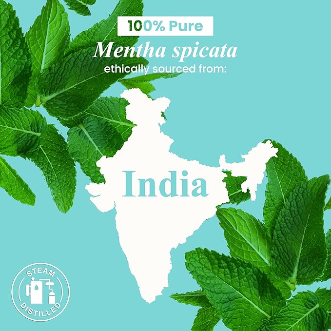 Handcraft Blends Organic Spearmint Essential Oil – 1 Fl Oz – 100% Pure and Natural – Premium Grade Essential Oil for Diffuser and Aromatherapy