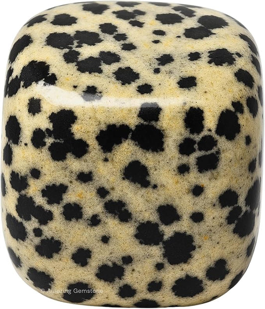 Amazing Gemstone Dalmatian Jasper Crystals and Healing Stones Tumbled - 1 oz Dalmatian Jasper Stone, Natural Healing Stones for Energy Balance, Stress Relief - Premium Polished Gems Rocks