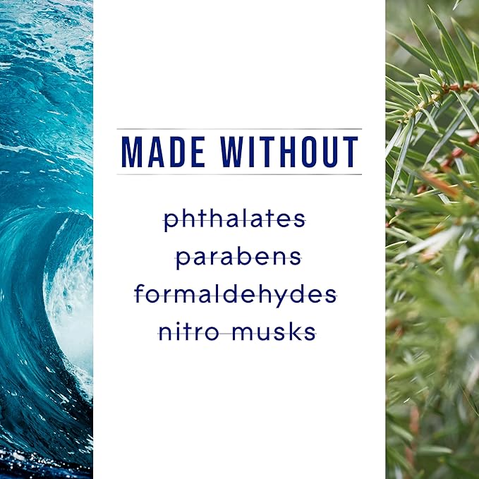 Glade PlugIns Refills Air Freshener, Sea Mist & Cypress, Scented and Essential Oils for Home and Bathroom, 0.67 Fl Oz, 5 Count