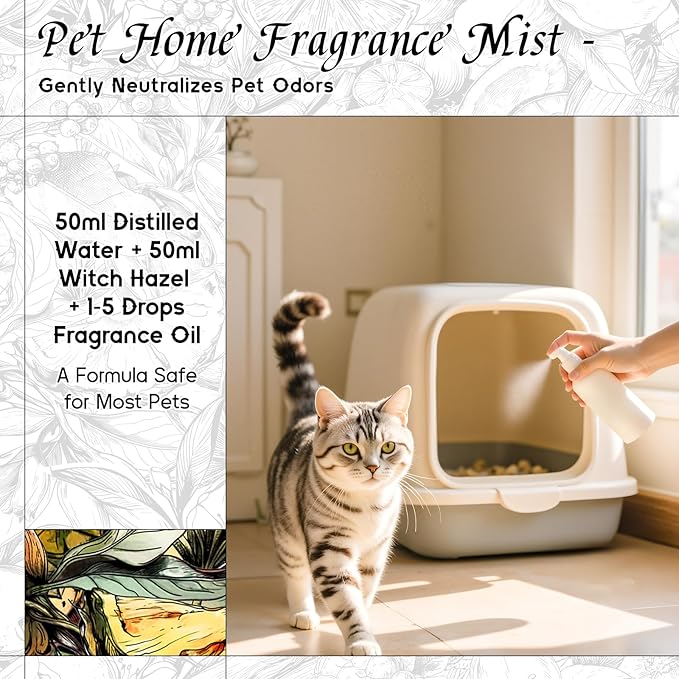 HIQILI Cedar Cologne Fragrance Oil for DIY Candle & Soap Making, Inspired by Alr-Cologne CED.Atls, Long-Lasting, Luxury Hotel Scents for Diffuser - 1 Fl Oz