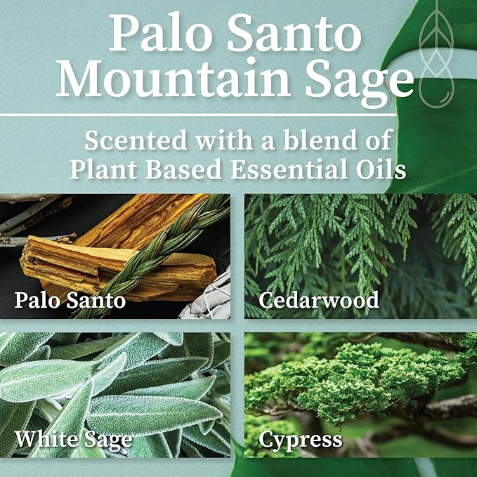 Hemlock Park Crackling Wood Wick Candle Handcrafted with Natural Coconut Wax (Large 16 oz, Palo Santo Mountain Sage)