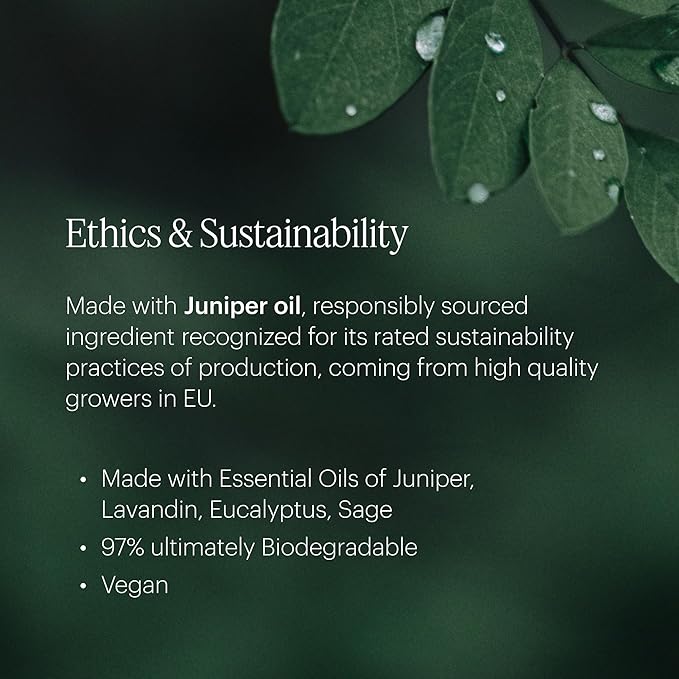 Aera Home Hygiene Tea Tree and Juniper - Essential Oil for Home - Calming Fragrance - Notes of Tea Tree, Juniper and Sage Essential Oils - Scent Refill - Capsule Size Works with Mini Diffuser