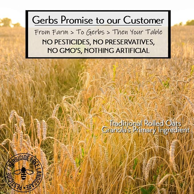 Gerbs Original Seed n' Honey Granola, 4 LBS. - Top 14 Food Allergy Free & Non GMO - Keto Safe - Made in Rhode Island …