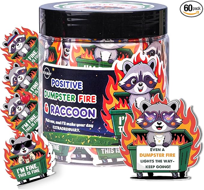 Funny Raccoon Dumpster Fire Affirmation Jar – 60 Sarcastic Positive Notes for Emotional Support, Mini Dumpster Fire Gift for Coworkers, Funny Office Desk Decor & Stocking Stuffers – SOLMAY