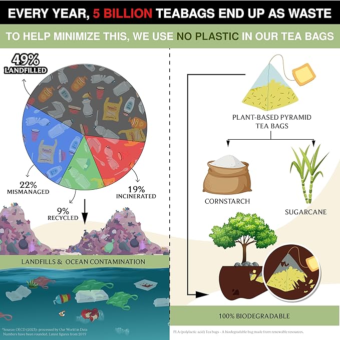 BREWIX, Jasmine Green Tea (25 Pyramid Tea Bags) | High Grown Green Tea from Himalayas with Jasmine | Caffeinated Tea Loose Leaf | High Elevation Grown